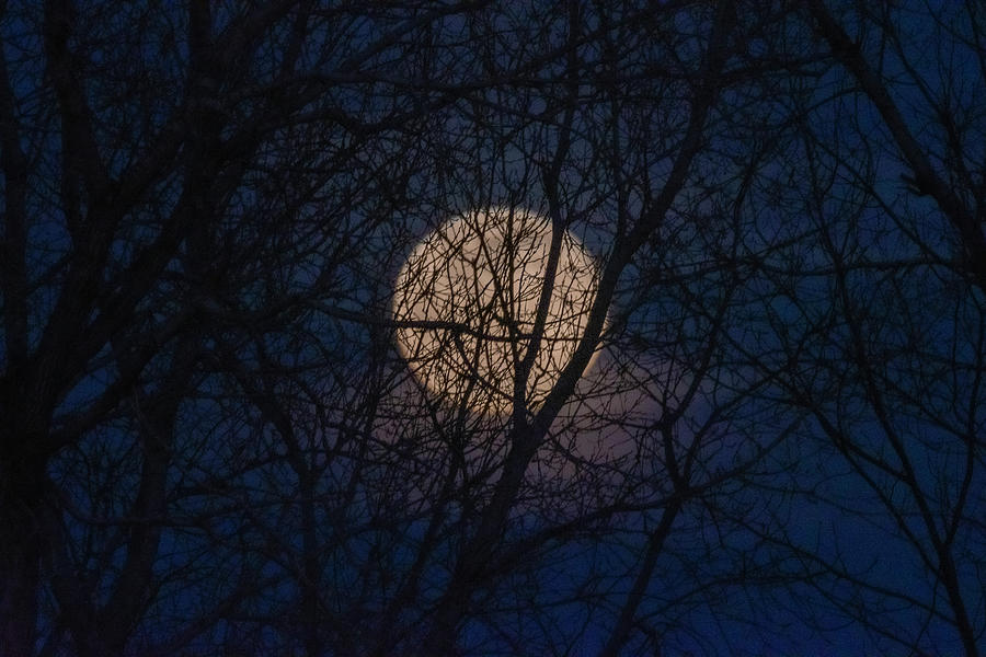 Full Moon Rising Number 1 Photograph by Debra Martz
