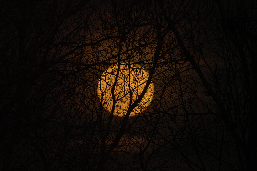Full Moon Rising Number 2 Photograph by Debra Martz