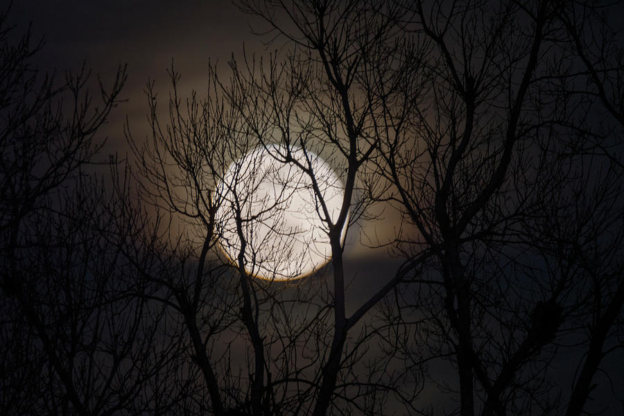 Full Moon Rising Number 3 Photograph by Debra Martz