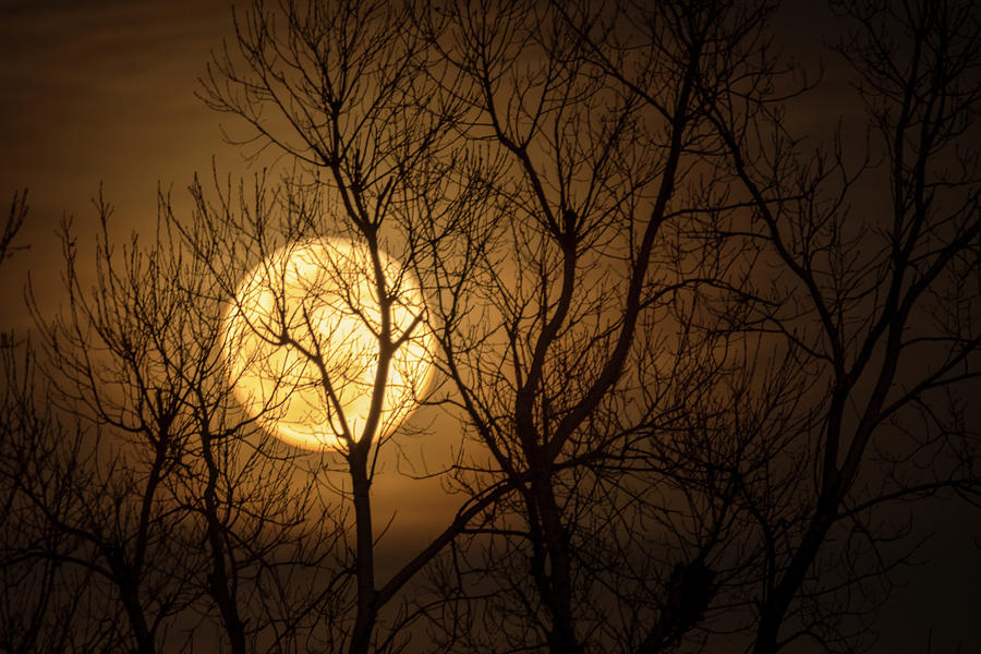 Full Moon Rising Number 4 Photograph by Debra Martz
