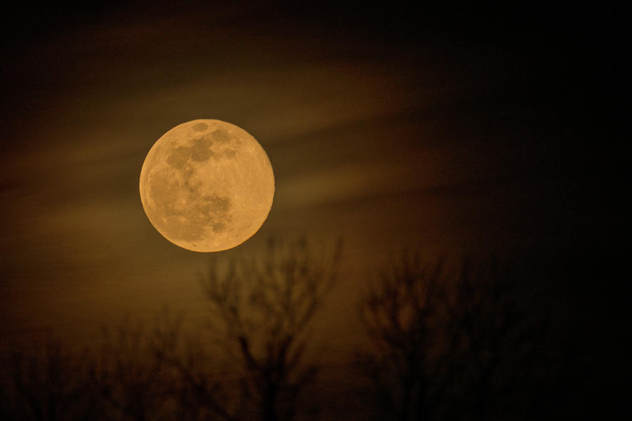Full Moon Rising Number 5 Photograph by Debra Martz