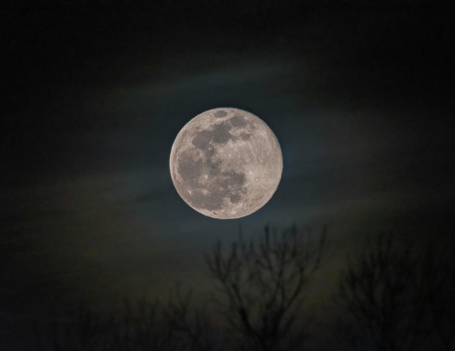 Full Moon Rising Number 6 Photograph by Debra Martz