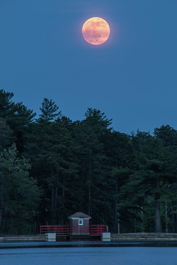 Full Moon Rising Over Egg Harbor City Lake Photograph by Kristia Adams