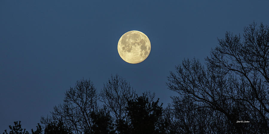 Full Moon Setting Photograph by Dale R Carlson