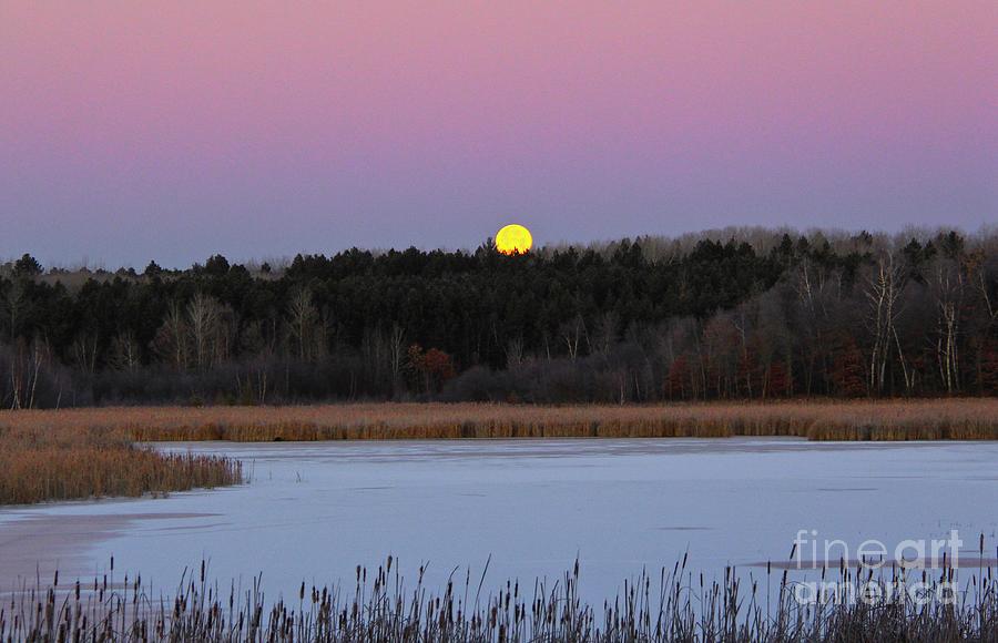 Full Moon Setting Over the Bay in Minnesota Photograph by Ann Brown