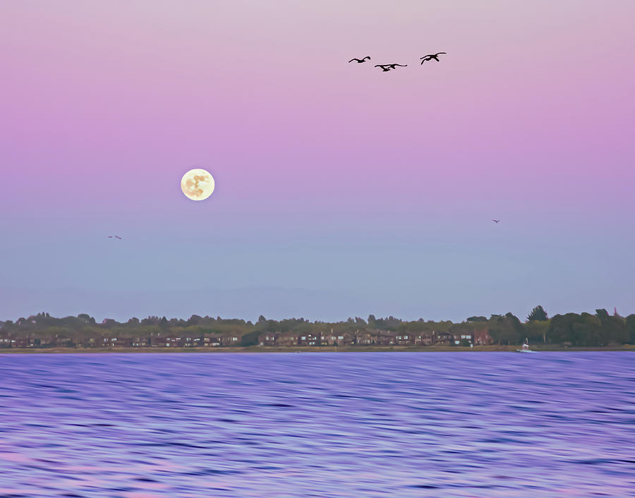 Full Moon Photograph - Full Moon Summer by Terry Walsh