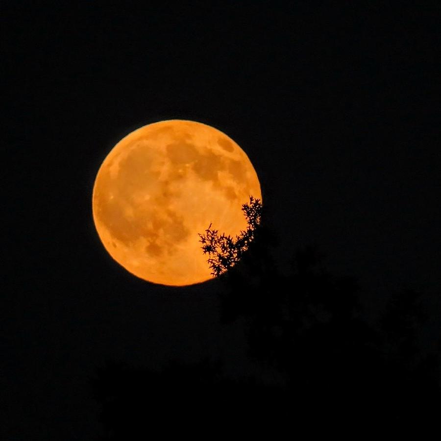 Full Moon Photograph by Sydney Kruise Pixels