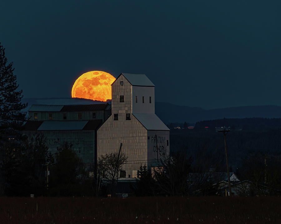 Full moon Photograph by Ulrich Burkhalter