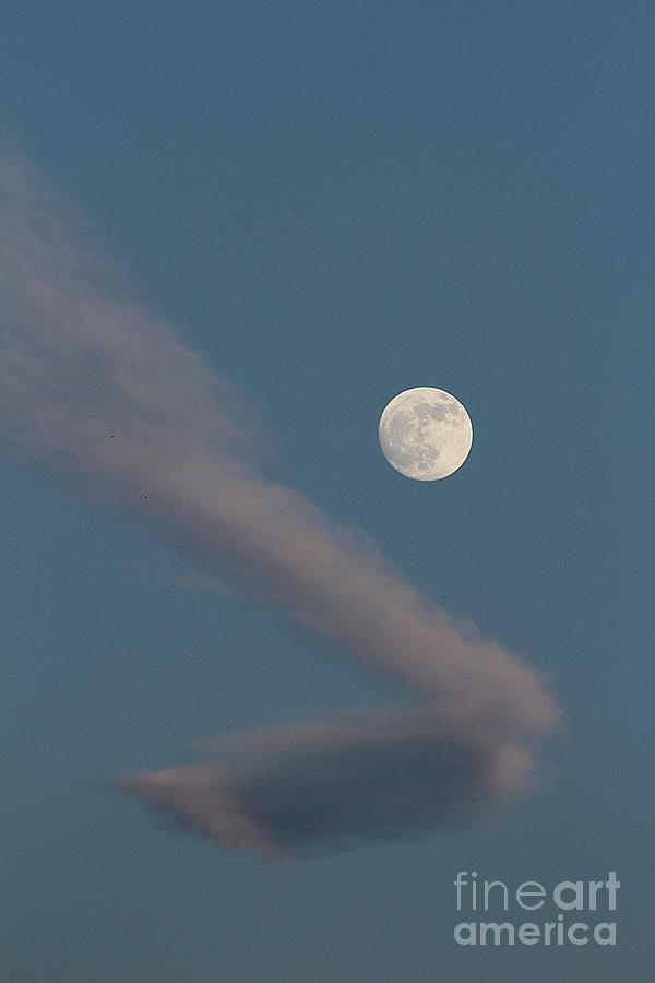 Full Moon with Cloud Photograph by Paula Guttilla