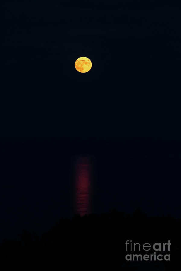 Full Moonrise on Cadillac Mountain Photograph by Elizabeth Dow