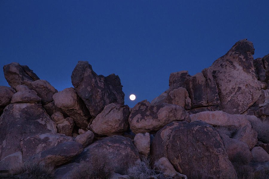 Full moonrise over the Mojave Desert Photograph by Kunal Mehra