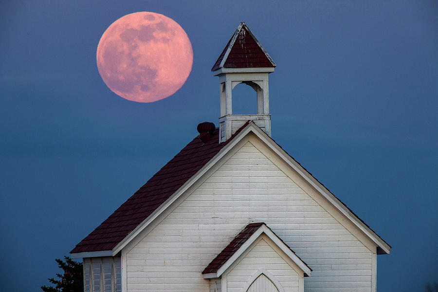 Full Pink Moon Photograph by Mark Duffy