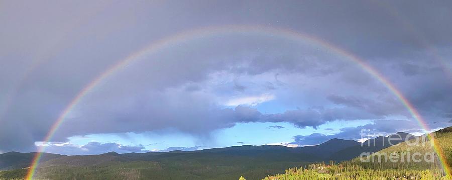Tree Photograph - Full Rainbow Over the Continental Divide by Saving Memories By Making Memories