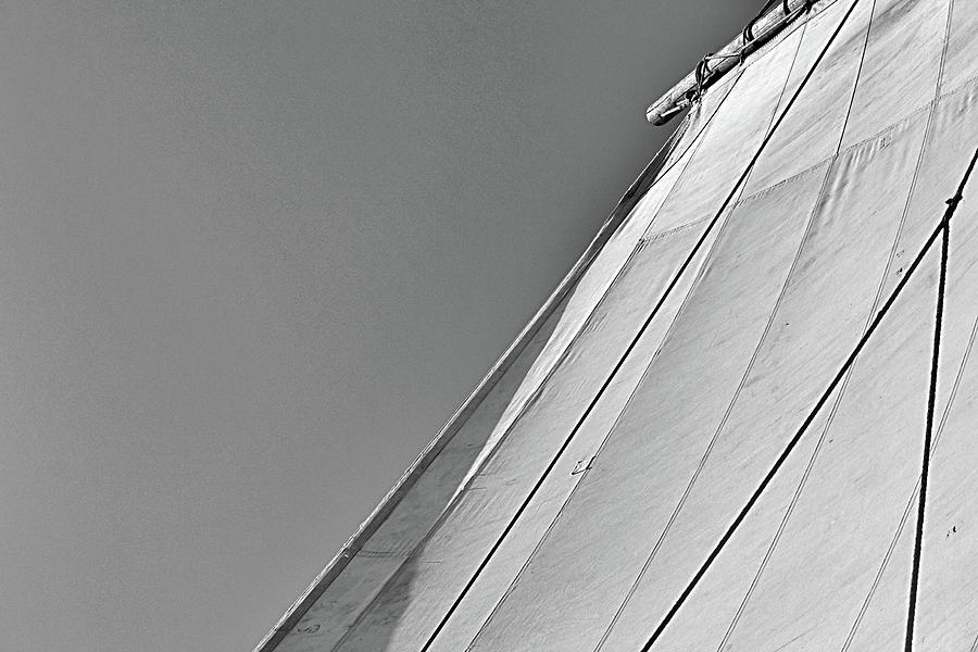 Full Sail and Blue Sky in Black and White 2 Photograph by Nadalyn Larsen