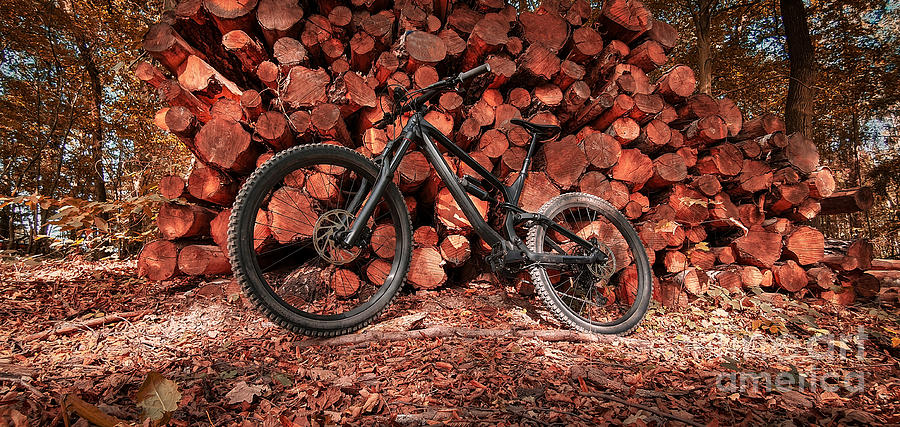 Full suspension mountain bike leaned on a pile of timber logs Photograph by Mendelex Photography