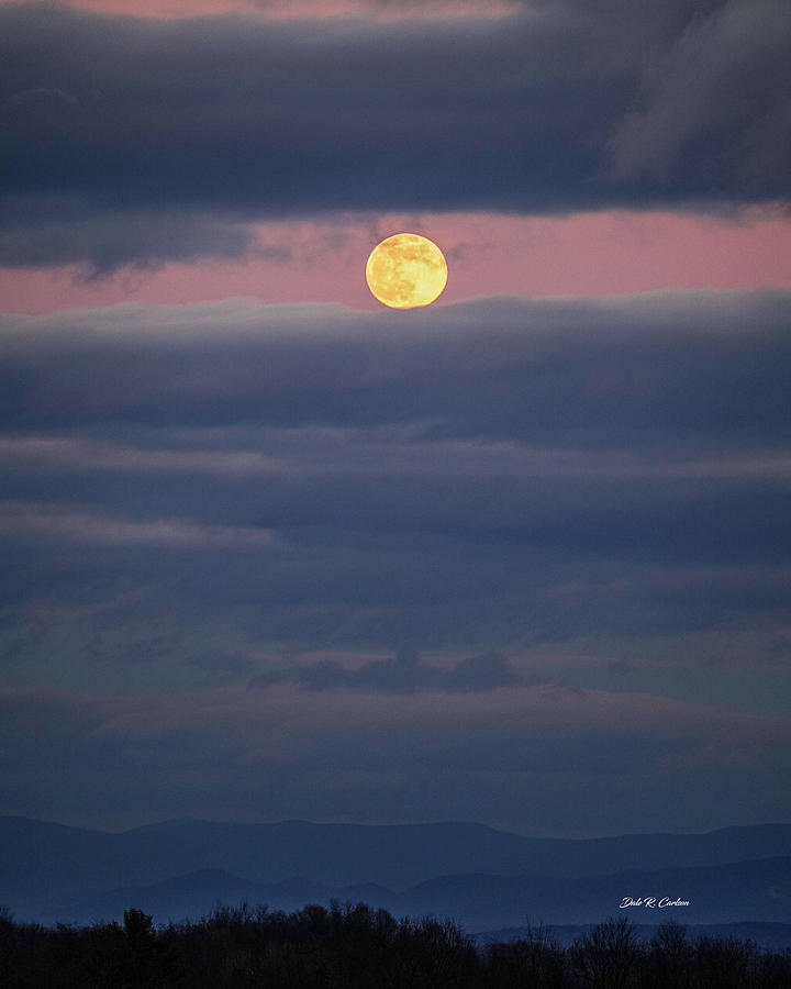 Full Wolf Moonrise Photograph by Dale R Carlson