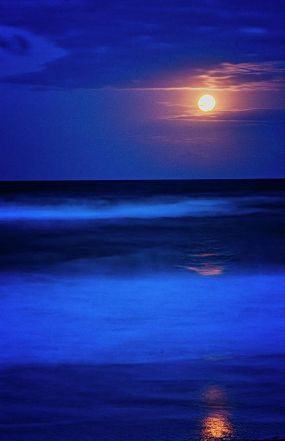 Full Worm Moon Photograph by Tom Singleton