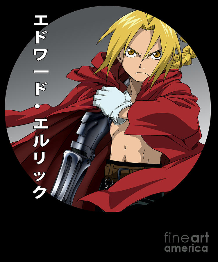 Amazon.com: Fullmetal Alchemist Poster Anime Edward Alphonse Japan Wall Art  Brotherhood 16x20 Inches: Posters & Prints