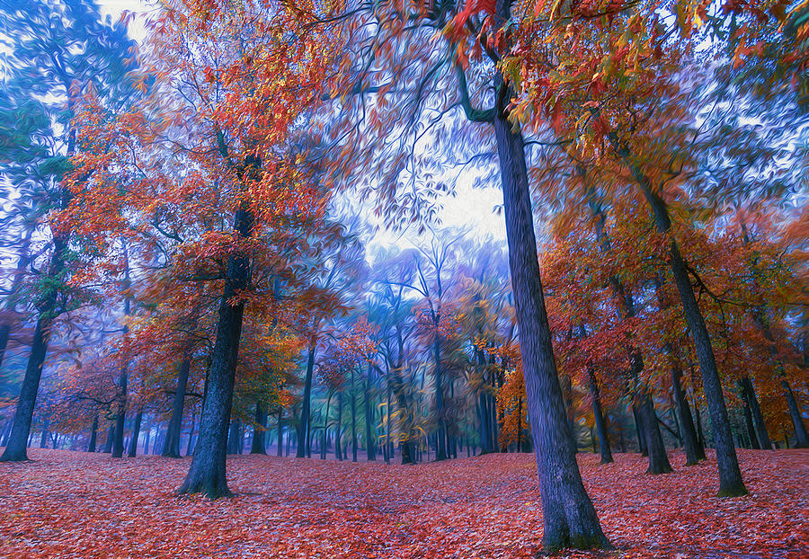 Fun Autumn Colors in the Forest Photograph by Sandra Js