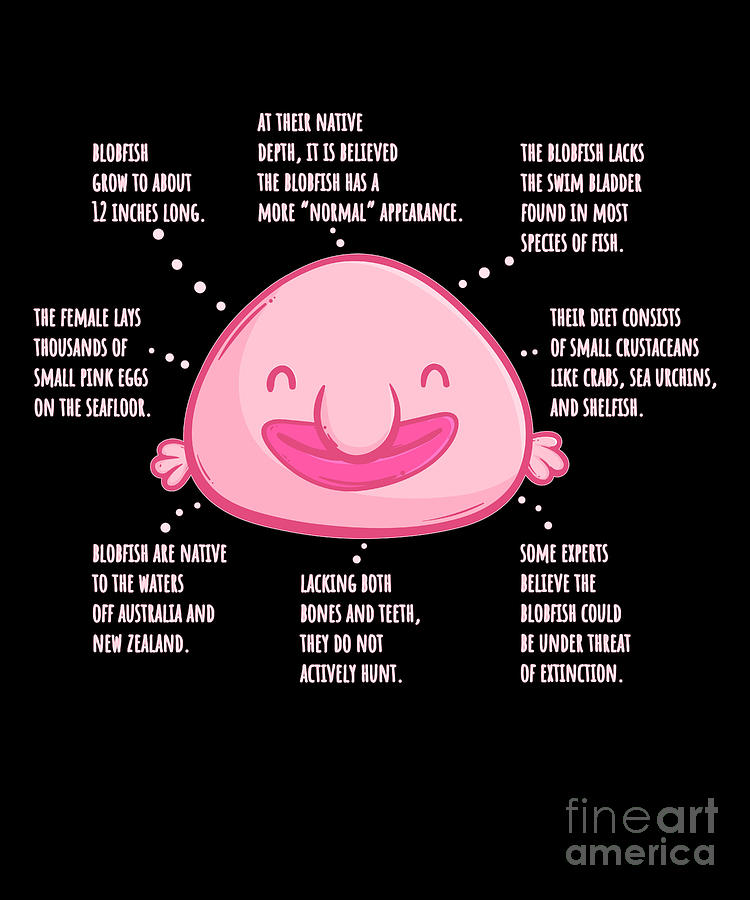 14 Blobfish Facts for Kids