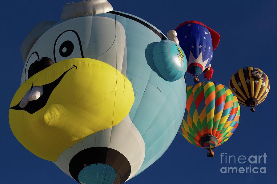 Fun Hot Air Balloons Photograph by Manuelas Camera Obscura