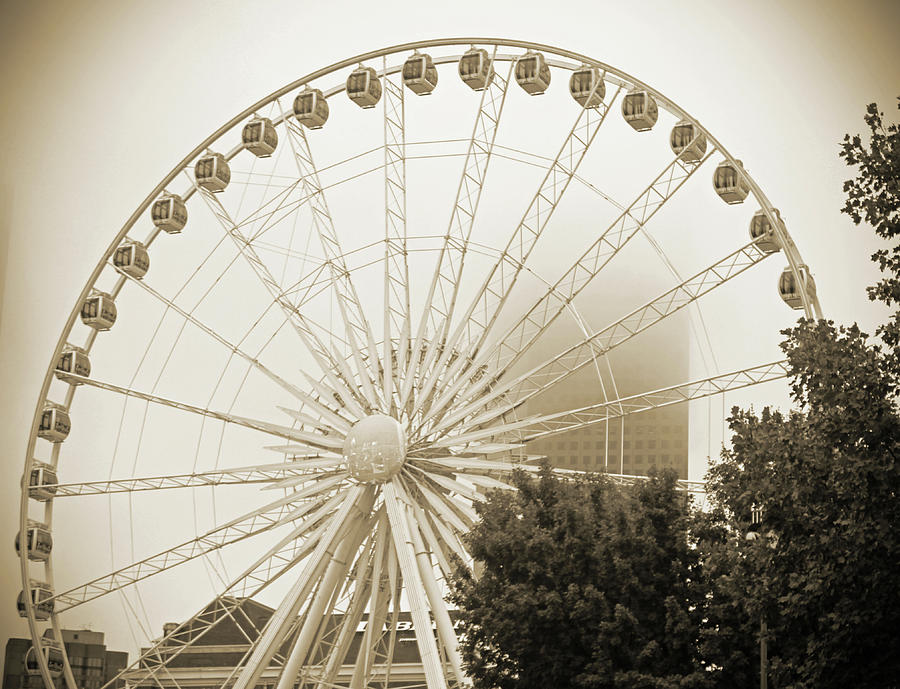 Fun in Atlanta by WhiteoakorganicsLLC Gallery Fun in Atlanta by WhiteoakorganicsLLC Gallery