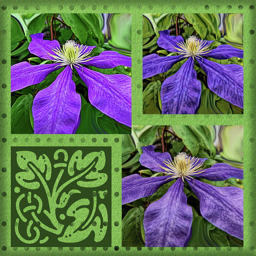 Fun With Clematis Collage Photograph
