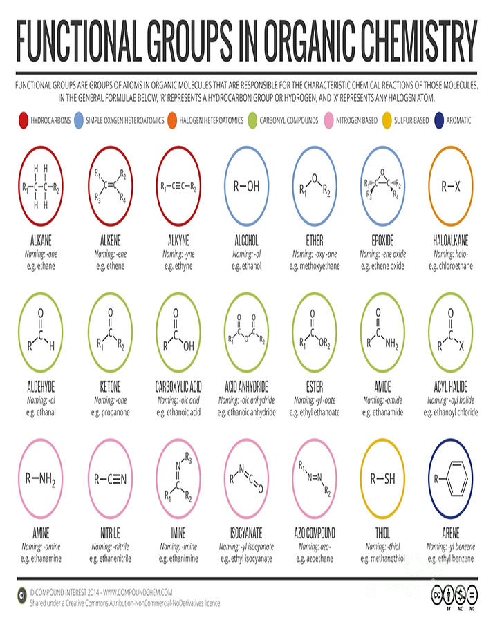 Functional Groups in Organic Chemistry Poster Digital Art by Bui Thai