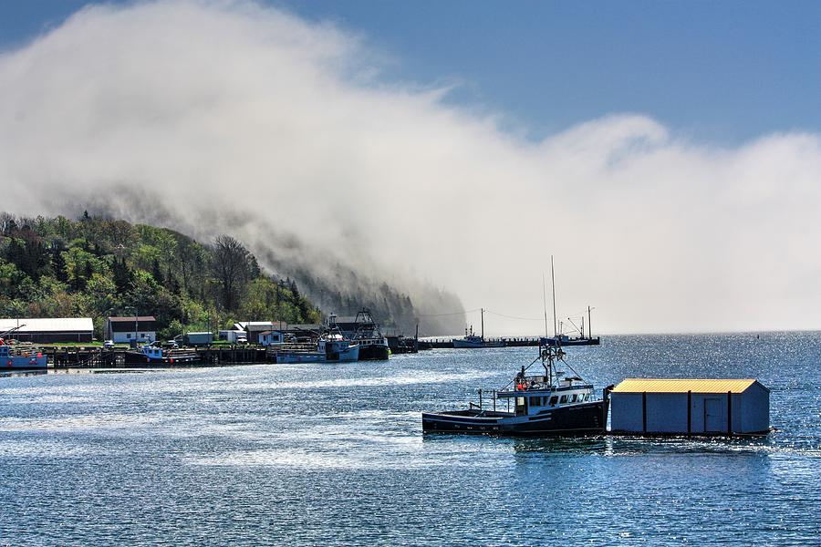 Fundy Fog Photograph by David Matthews