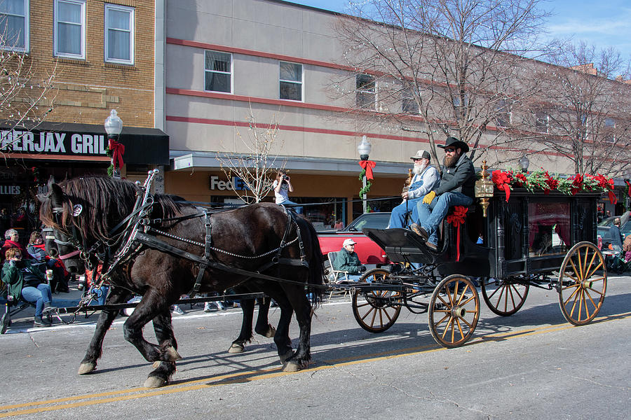 Funeral Wagon Photograph by Carol Schultz - Fine Art America