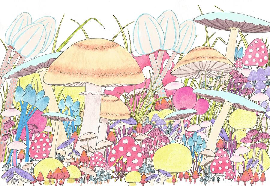 Fungi Fest Drawing by Frances Kilpatrick | Fine Art America