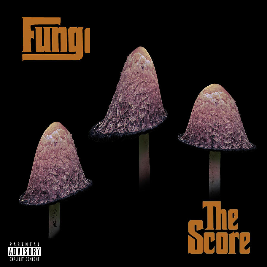 FUNGI - The Score Digital Art by Ken Walker