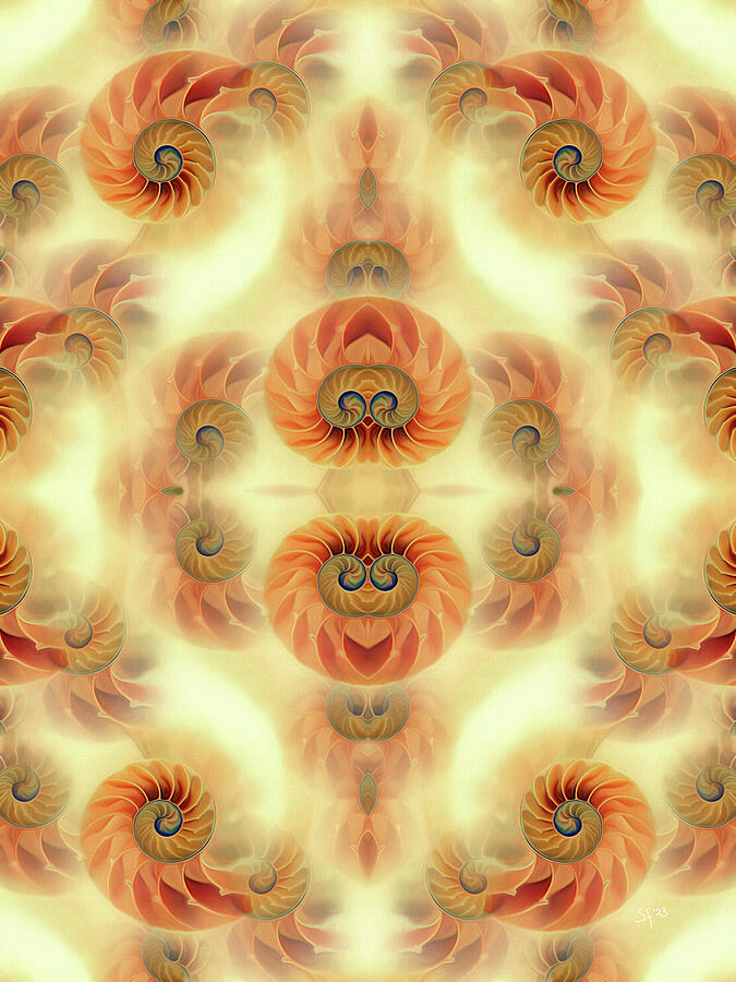 Funky Nautilus Shell Abstract Symmetrical Pattern Mixed Media by Shelli Fitzpatrick
