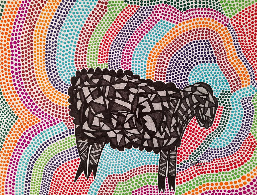 Funky Sheep Drawing by Peter Johnstone