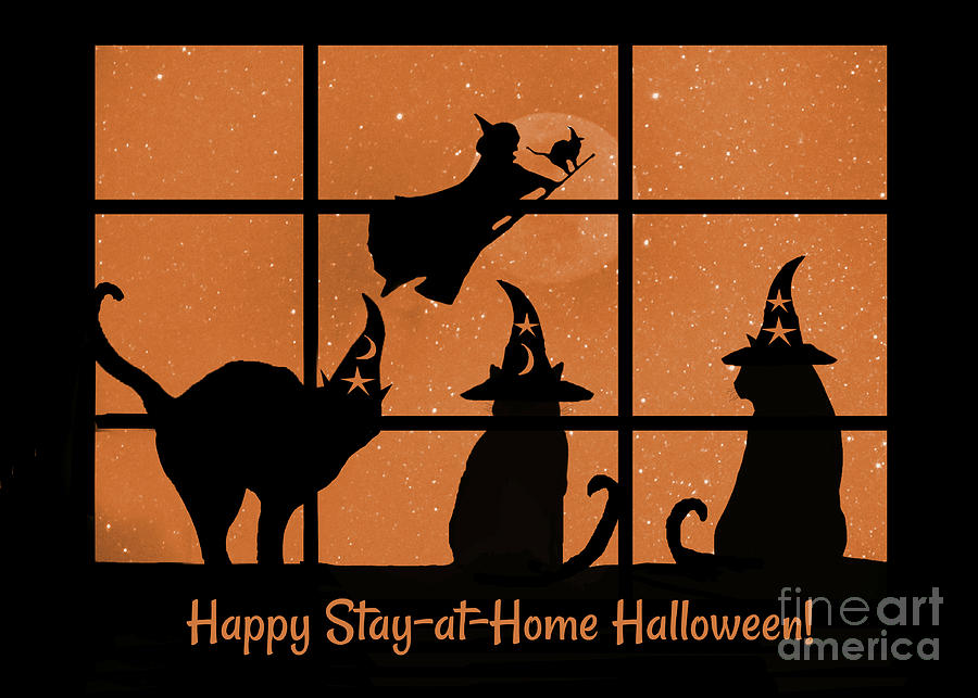 Funny and Cute Shelter at Home Halloween with Cats and Witch Photograph by Stephanie Laird