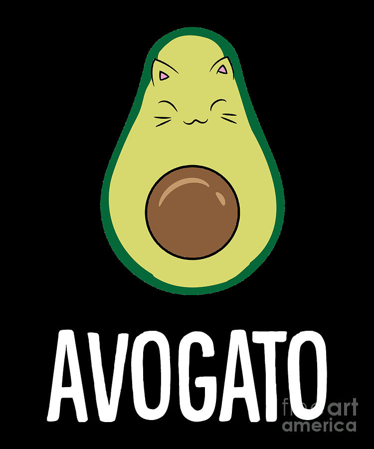 Funny Avocado Cat Cinco De Mayo Avogato Digital Art By Eq Designs