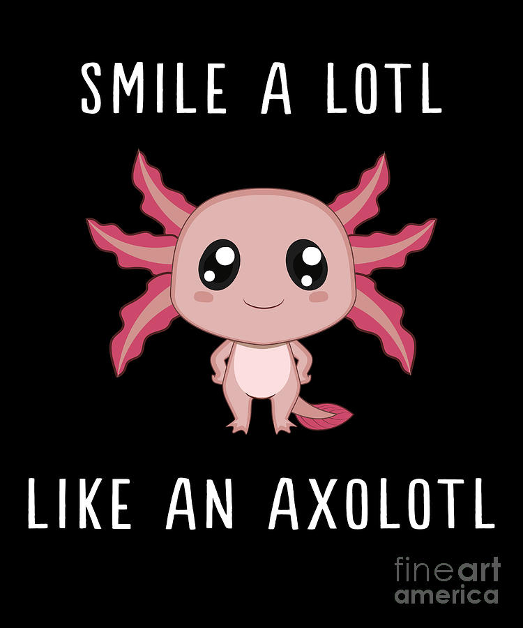 Funny Axolotl I Smile A Lot Reptile Gift Idea Drawing By Noirty Designs
