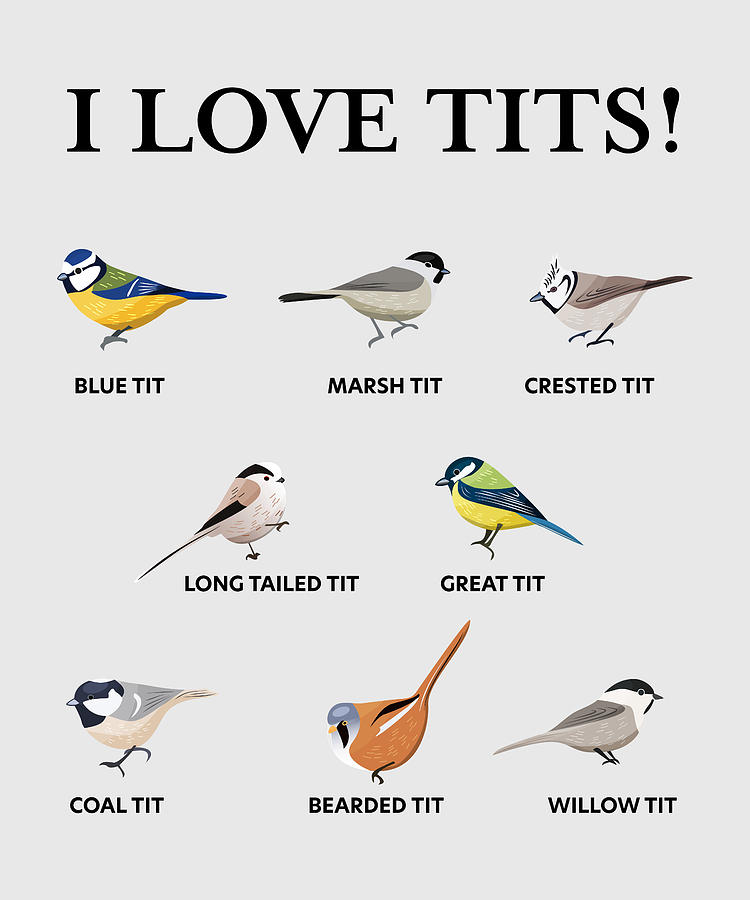 Funny Birdwatching Tit Bird Fan T Digital Art By Philip Anders Fine Art America