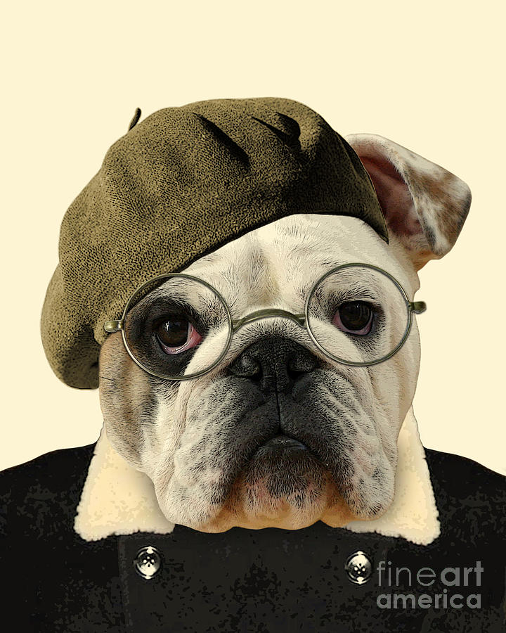 Dog Digital Art - Funny Bulldog Portrait by Madame Memento