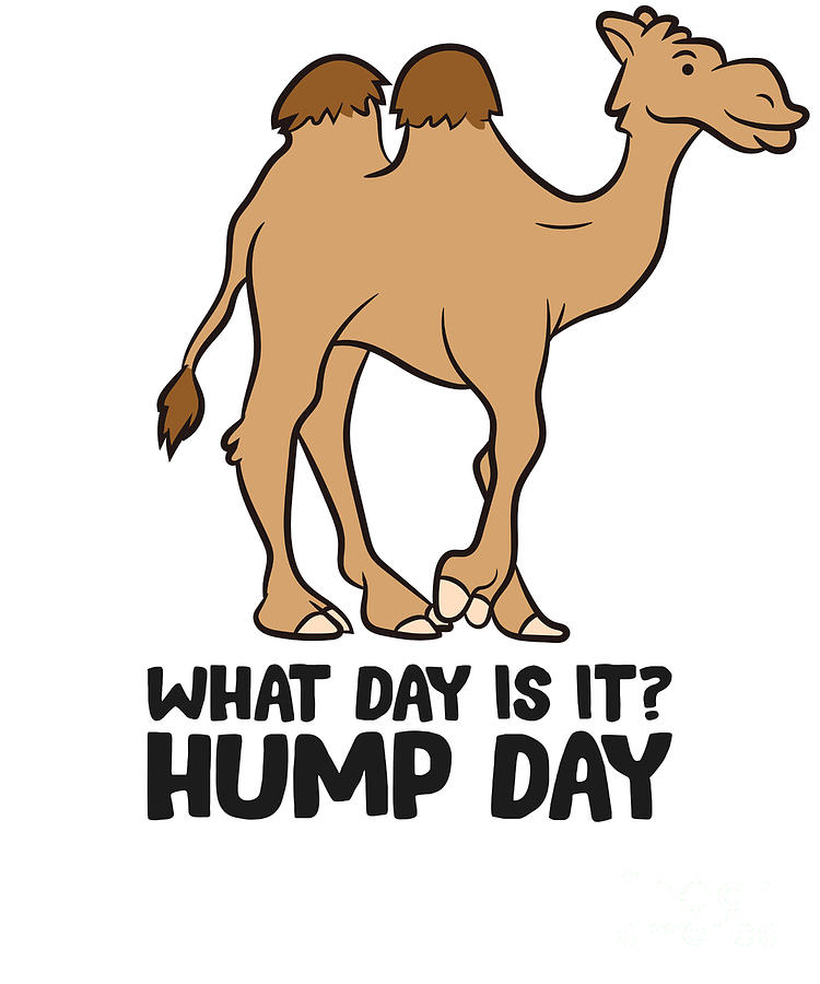 Funny Camel What Day Is It Hump Day Funny Camels Tapestry - Textile by ...