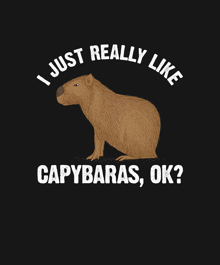 Funny Capybara Art For Men Women Kids Rodent Capybara Lover Drawing by ...