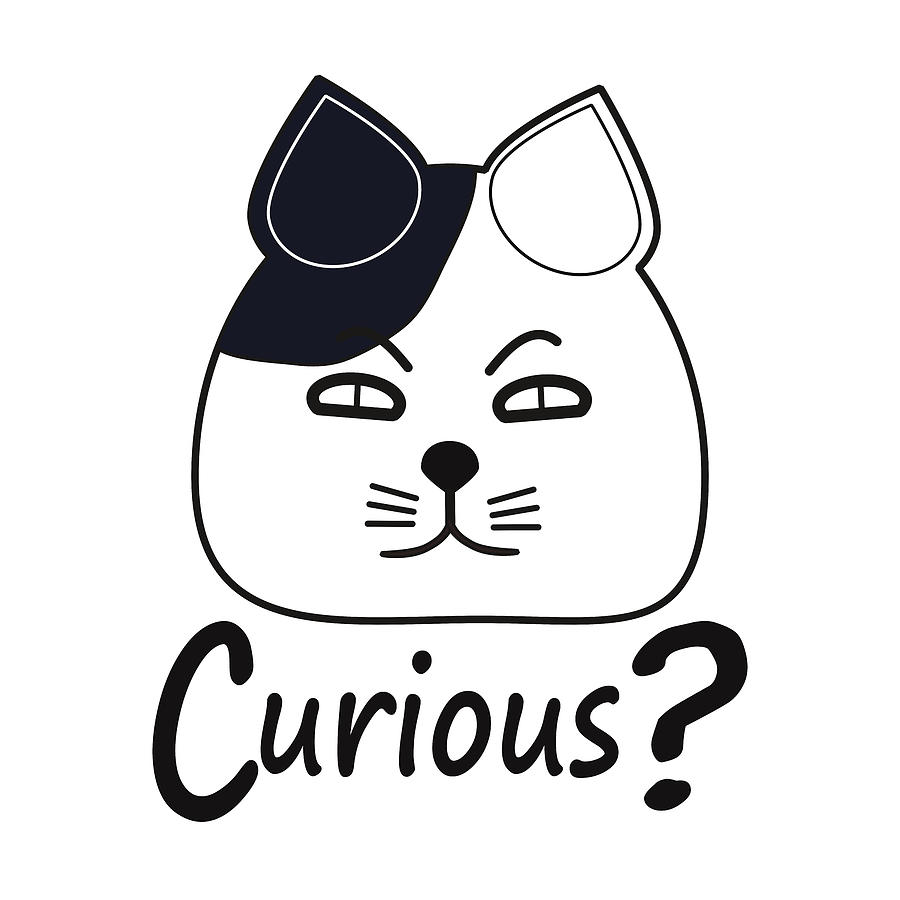 Funny Cat Curious Digital Art by Bob Pardue