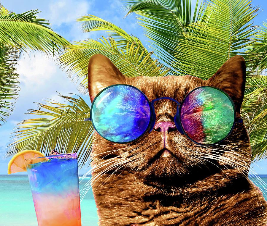 Funny Cat on Beach 675 Mixed Media by Lucie Dumas