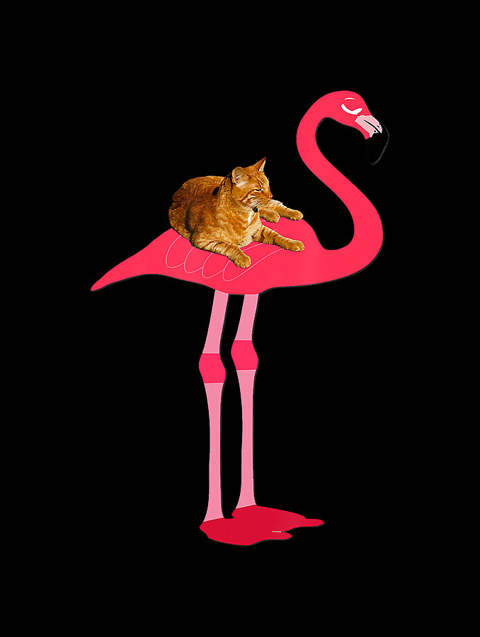 Funny Cat on Pink Flamingo, Cat Ridding a Bird, Digital Art by Shannon