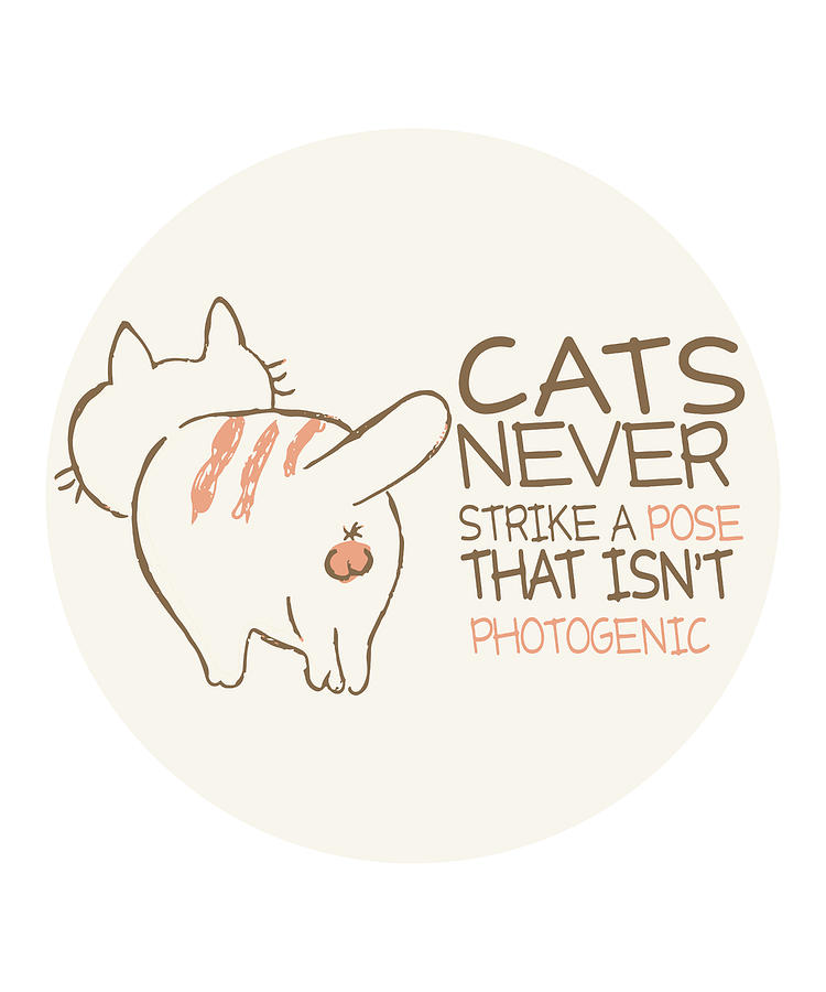 cute cat pictures with funny sayings