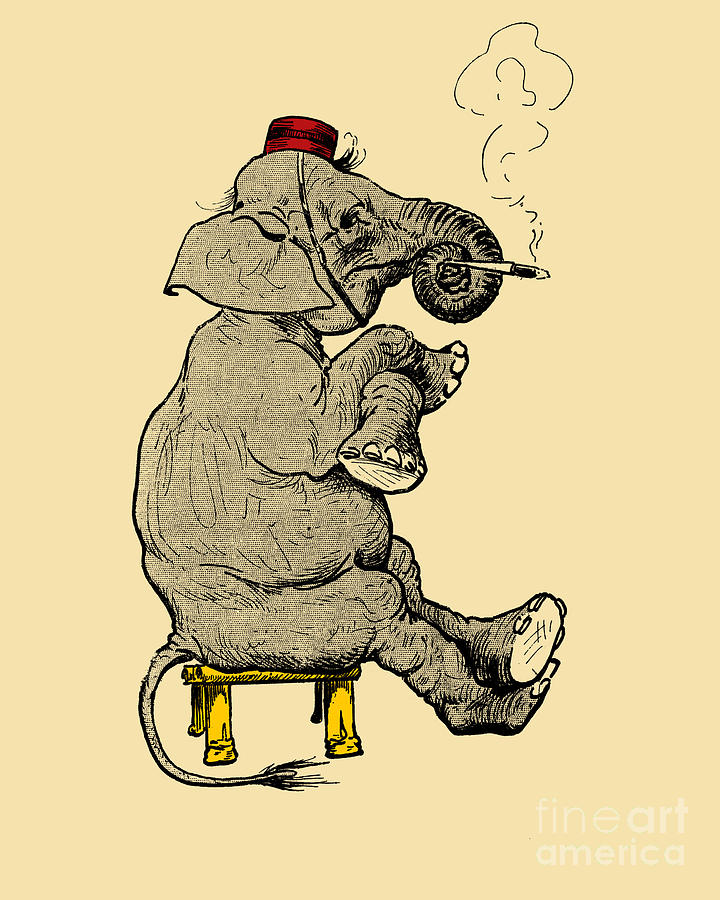 Black And White Digital Art - Funny Elephant Cartoon by Madame Memento