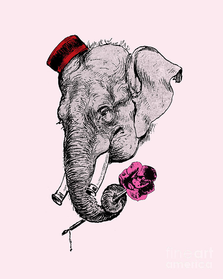 Elephant Digital Art - Funny elephant portrait by Madame Memento