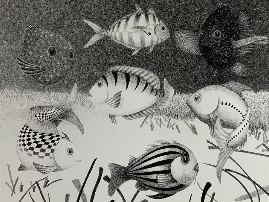 Fishes Drawing - Funny Fish by Pamela Driscoll