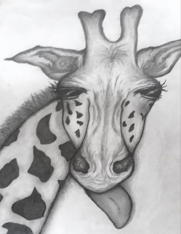 How To Draw a Giraffe | YouTube Studio Sketch Tutorial - YouTube-anthinhphatland.vn