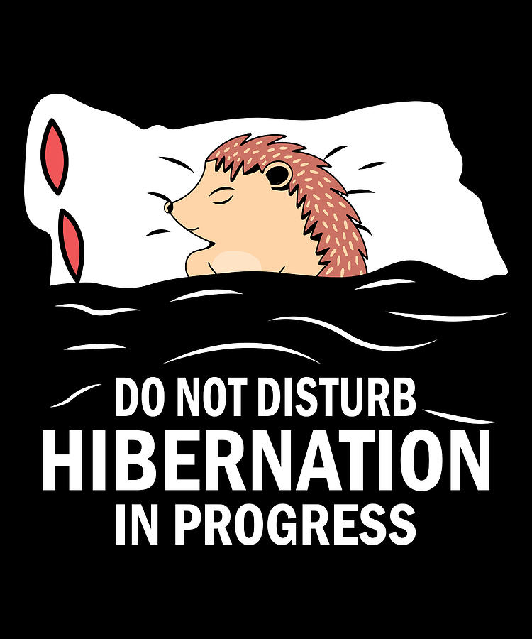 Hedgehog Digital Art - Funny Hedgehog Hibernation In Progress by Me
